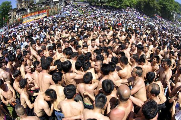 终于解禁了,还有谁能挡得住胖虎?